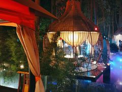 -二荆条·蜀鲜汇城市森林火锅