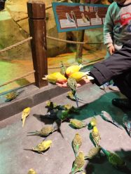 -酷嗒动物文化乐园(cutezoo西溪乐天城店)