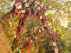 -大慈岩风景区