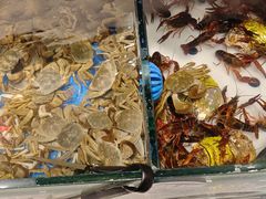 -川骄海鲜自助(亚运村店)