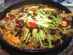 -老板恋上鱼(恒隆广场店)