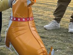 -杭州城北体育公园