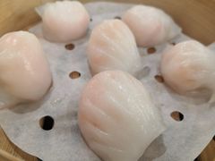 喜喜鲜虾饺-喜喜酒家·纯手工点心·粤菜