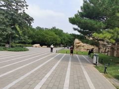 -元大都城垣遗址公园