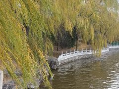 -迎泽公园