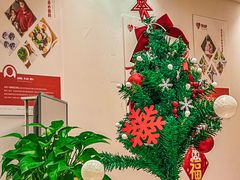 -苏州雏渐肥月嫂