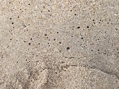 -宴悦海鲜餐厅·游水海鲜·牛排(亚龙湾瑞吉店)