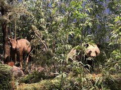 -陕西自然博物馆