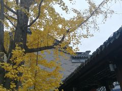 -龙潭水乡