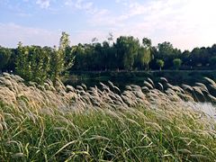 -湘小伍(天子座店)