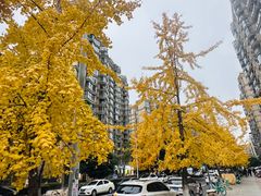 -阿诺泰·泰国餐厅(紫荆店)