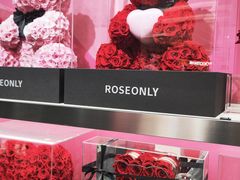 -ROSEONLY诺誓(沈阳万象城店)