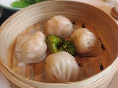 -金汇酒楼(中山东区店)