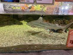 -Zoolung Zoolung动物主题公园(海信广场店)