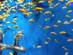 -南昌融创海世界