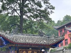 -黔灵山公园