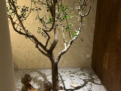 -王府茶楼茶宴·创意菜(大观园总店)