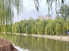 -南翠屏公园