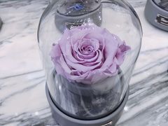 -ROSEONLY诺誓(国际广场购物中心店)