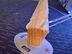 -野人先生现做冰淇淋(北京环宇荟店)