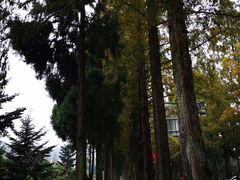 -毛泽东同志旧居