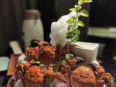 -梧桐花园餐厅(新城店)