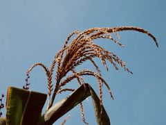 -三里河公园