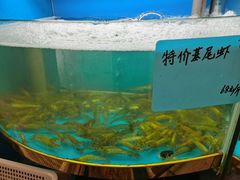 -农家大院