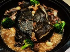 农家烧野生甲鱼-930私房菜(欧阳路店)