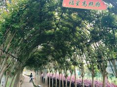 -武汉紫薇都市田园