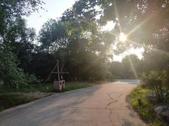 -奥林匹克森林公园北园-停车场