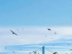 -星海广场