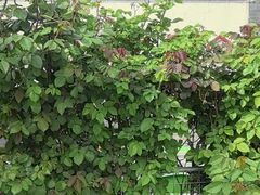 -张记焖窑·十五年专注焖烤(雍和宫店)