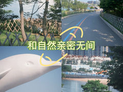-小麦岛公园