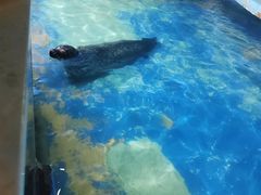 -太平洋海底世界