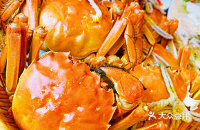 A Pu's Freshwater Crab