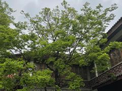 -龙潭水乡