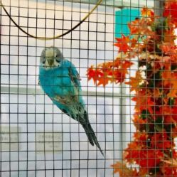 -萌宠亲子动物乐园(槐房万达店)