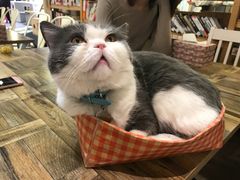 -小时光咖啡馆(开森度假森林店)