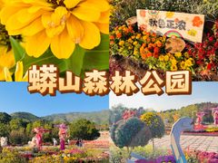 -北京十三陵国家森林公园蟒山景区