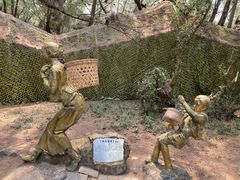 -北海金海湾红树林生态旅游区