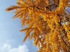 -海上海弘基休闲广场