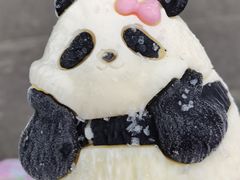 -都江堰中华大熊猫苑