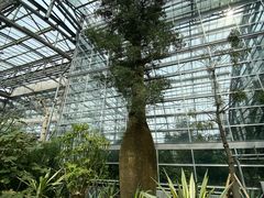 -南山植物园