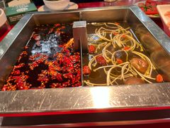 -二荆条·蜀鲜汇城市森林火锅