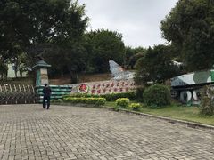 -长洲岛