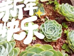 -浔岚云舍mist静谧观景美宿(丽江古城店)