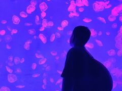 -波塞冬旅游度假区