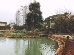-乌镇西栅景区