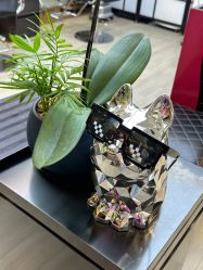 -showcase·形象沙龙